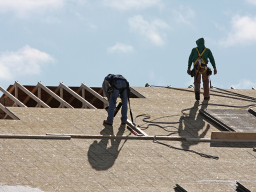Professional Roofers