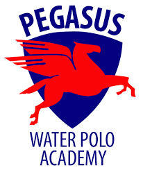 pegasus logo.png