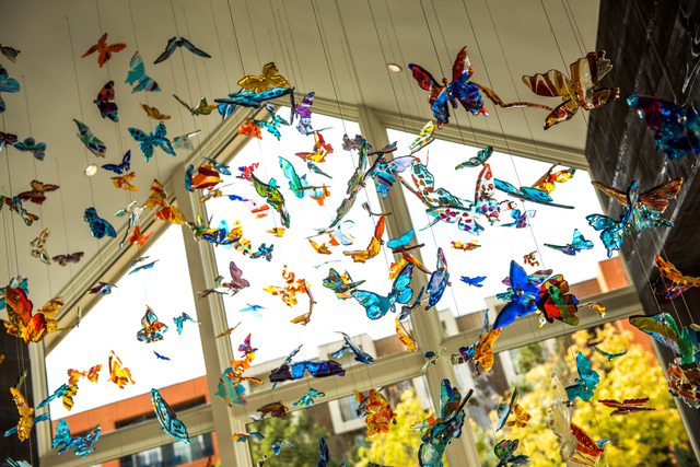 New butterfly installation by Carlyn Ray