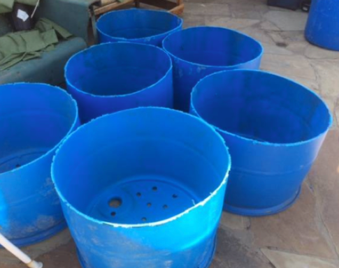 blue pots.png