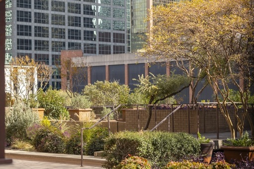Rooftop Garden - Fairmont Dallas.jpeg