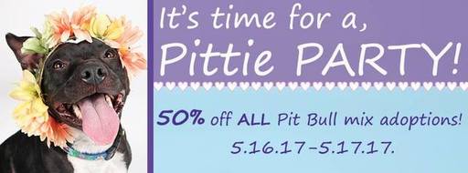 Pitty Party at the SPCA of Texas.jpg