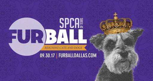 SPCA of Texas' Fur Ball .jpg